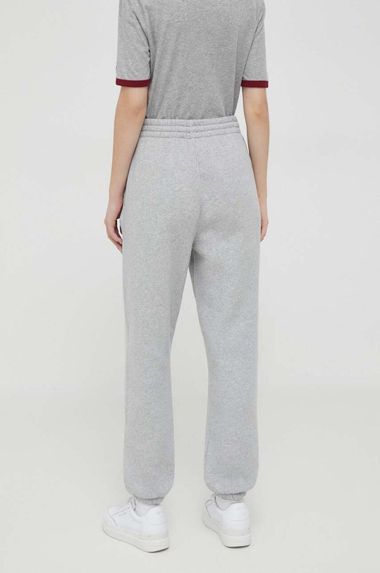 Oblečení Tepláky Tommy Hilfiger WW0WW39817 šedá