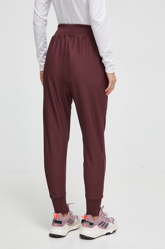 Eivy spodnie dresowe A00302009 bordowy AW23