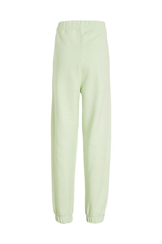 Девочка Детские спортивные штаны Calvin Klein Jeans IG0IG02175.9BYX зелёный