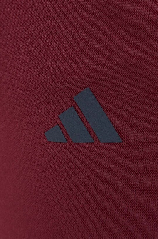 Штани для тренувань adidas Performance Base бордо IB3483