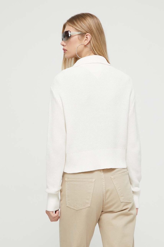 Oblečení Svetr Tommy Jeans DW0DW16521 béžová