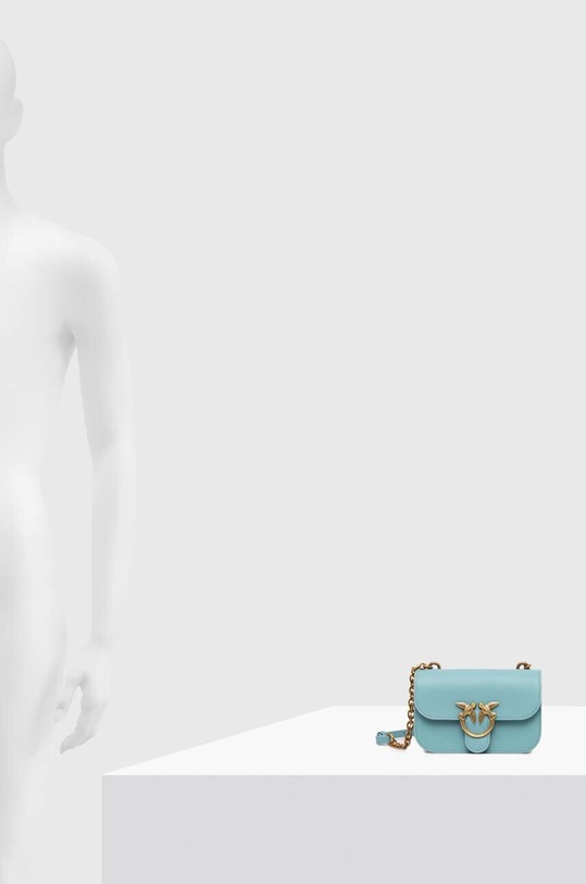 Pinko poseta de piele 100048.A14P
