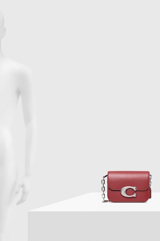 Шкіряна сумочка Coach LUX IDOL CM557