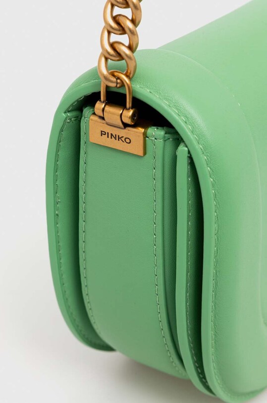 Аксесуари Шкіряна сумочка Pinko 101969.A0QO зелений