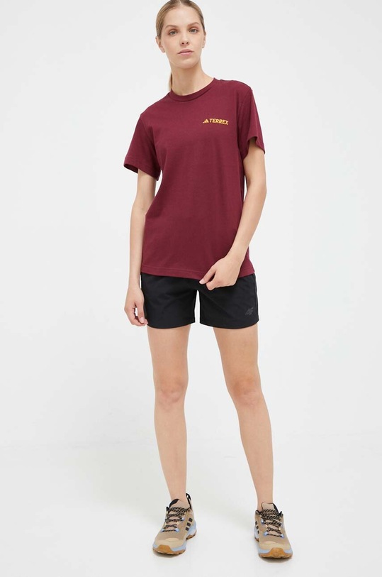 Tričko adidas TERREX Graphic Altitude IL2645 burgundské AW23