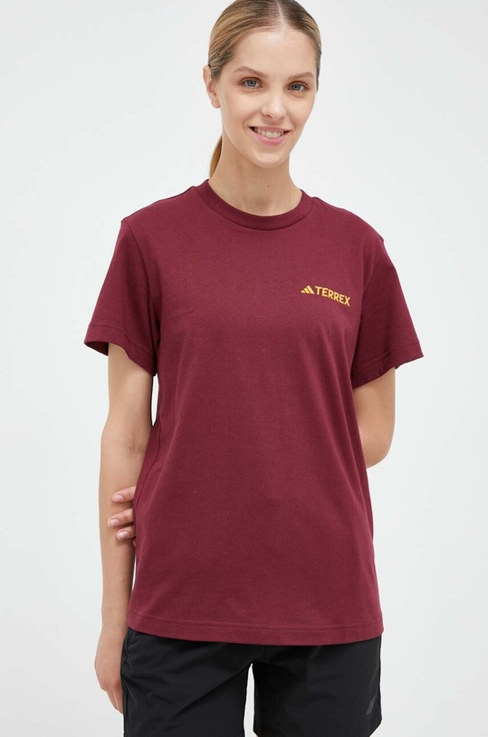 Oblečenie Tričko adidas TERREX Graphic Altitude IL2645 burgundské