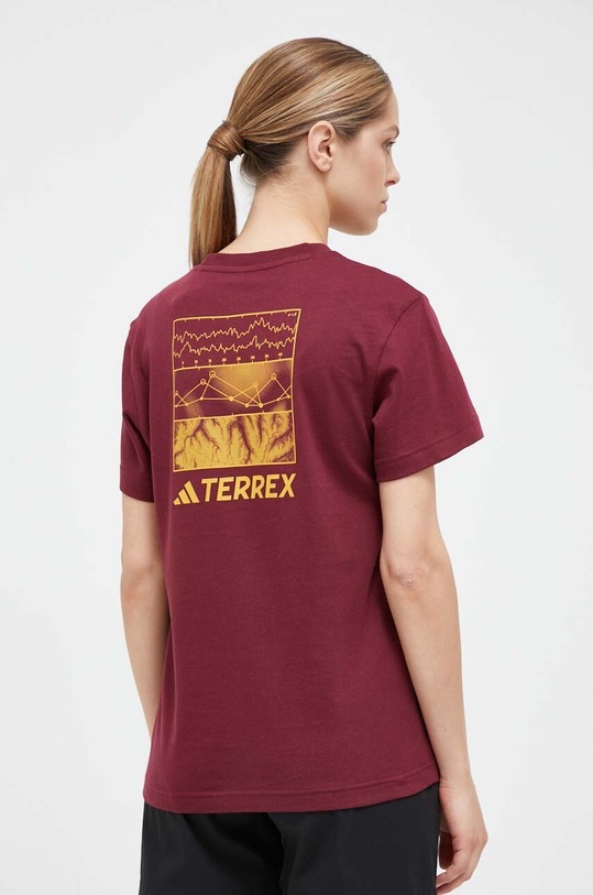 Tričko adidas TERREX Graphic Altitude burgundské IL2645