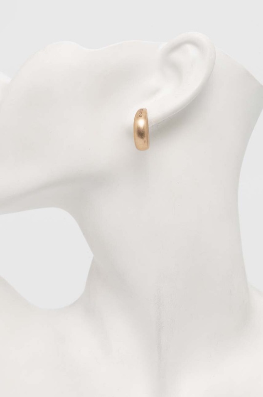 Аксесуари Сережки AllSaints 477522BRS711 золотий