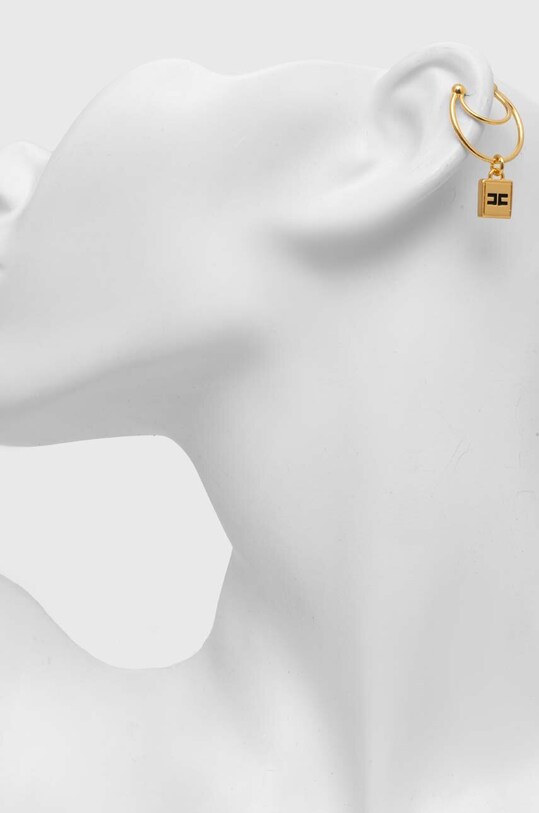Doplňky Náušnice Elisabetta Franchi OR29K46E2 zlatá