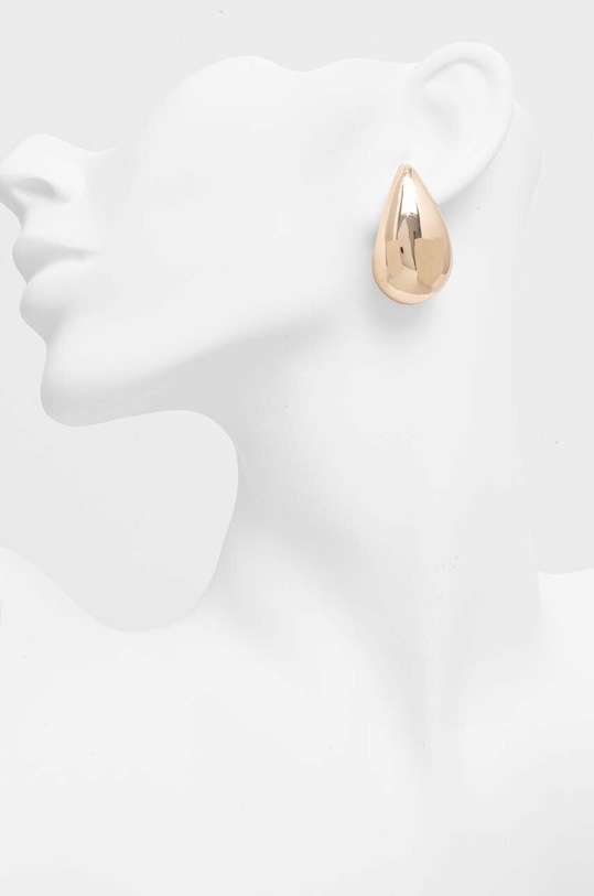 Accesorii Aldo cercei PREINAD PREINAD.710 aur