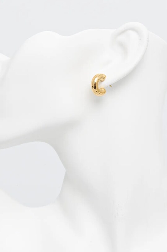 Сережки Aldo CRALIR CRALIR.710 золотий AW24