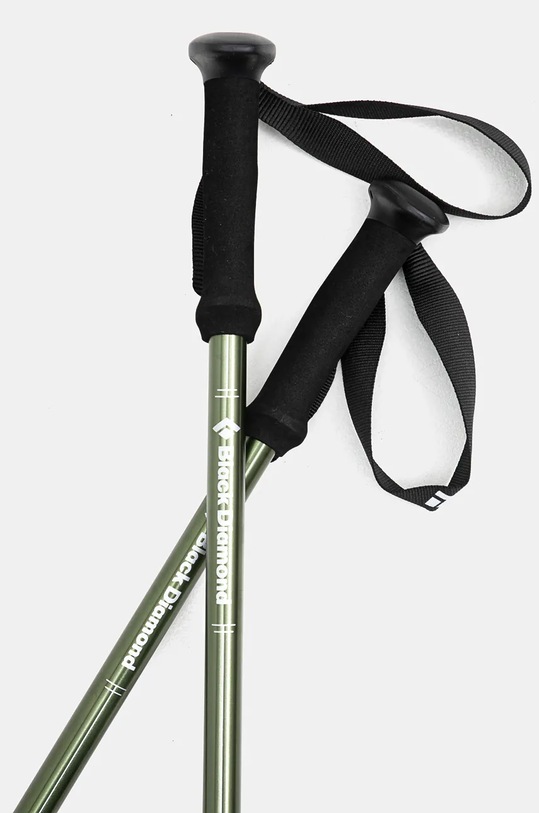 Trekingové palice Black Diamond Explorer 3 BD112551 zelená