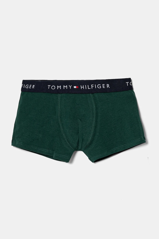 Dječaci Dječje bokserice Tommy Hilfiger 2-pack UB0UB00549.9BYH zelena