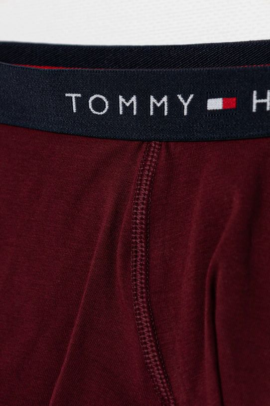 Детские боксеры Tommy Hilfiger 2 шт UB0UB00549.9BYH