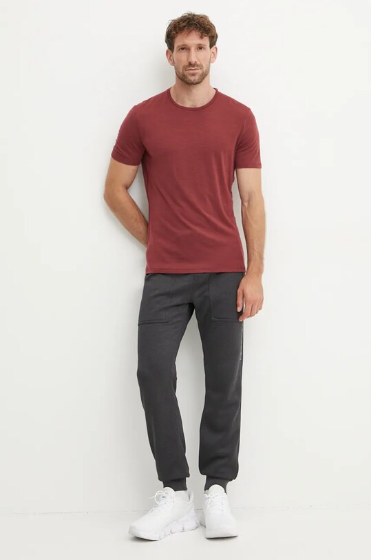 Функциональная футболка Icebreaker Merino 150 Anatomica IB10303301C1 бордо AW24