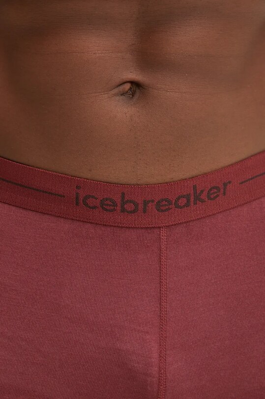 Функциональные леггинсы Icebreaker Merino 260 Tech бордо IB10437301C1
