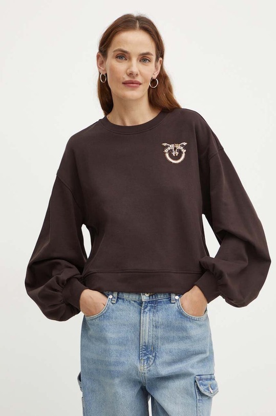 Pinko bluza aplikacja brązowy 102827.A24F