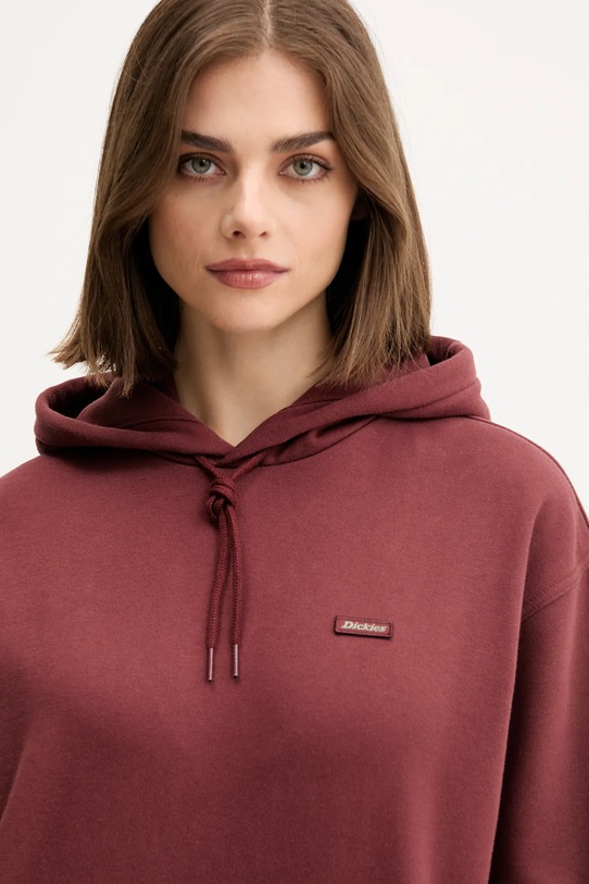 Dukserica Dickies CLANCY smeđa DK0A4Z2W