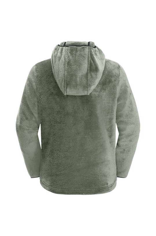 Мальчик Детская кофта Jack Wolfskin 1608672.92.152 зелёный