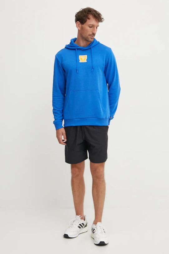 Кофта adidas Originals IX9638 блакитний AW24