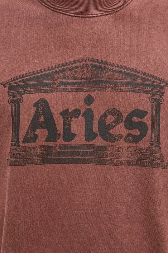 Хлопковая кофта Aries Aged Ancient Column Sweat бордо AR2003302
