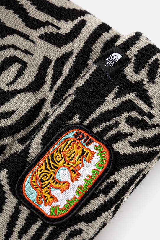 Chlapec Detská čiapka The North Face SKI TUKE NF0A7WJ84O61 čierna