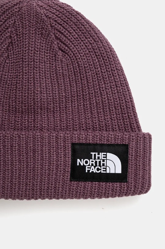 Doplňky Čepice The North Face Salty Lined Beanie NF0A3FJW1NI1 fialová