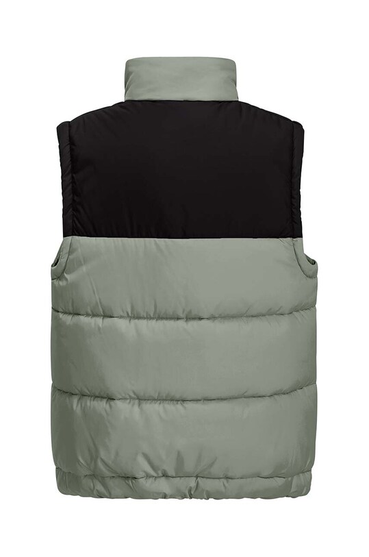 Детская безрукавка Jack Wolfskin 1610211. зелёный AW24