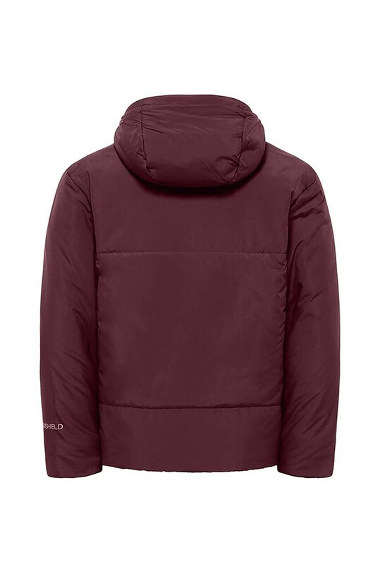 Мальчик Детская зимняя куртка Jack Wolfskin A61847.164.176 фиолетовой