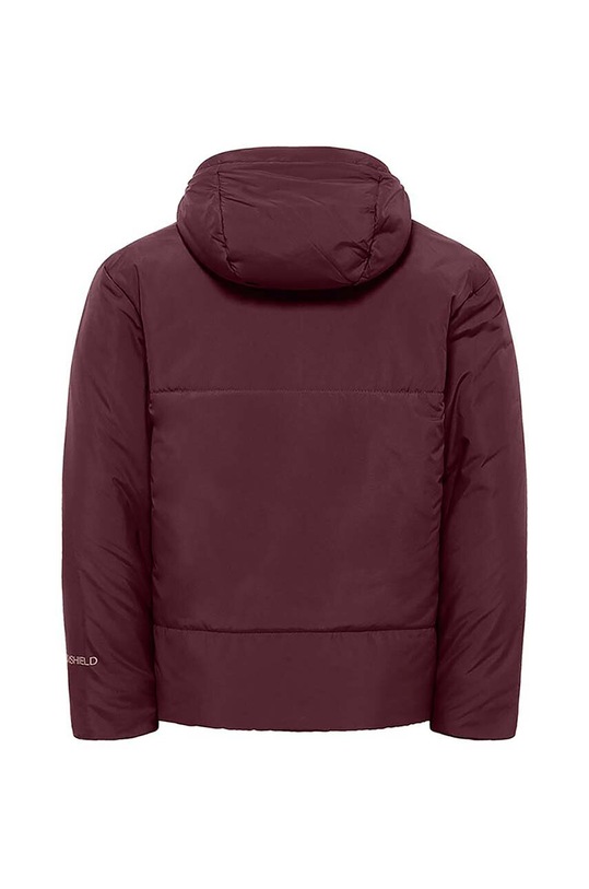 Chłopiec Jack Wolfskin kurtka zimowa dziecięca A61847.164.176 fioletowy