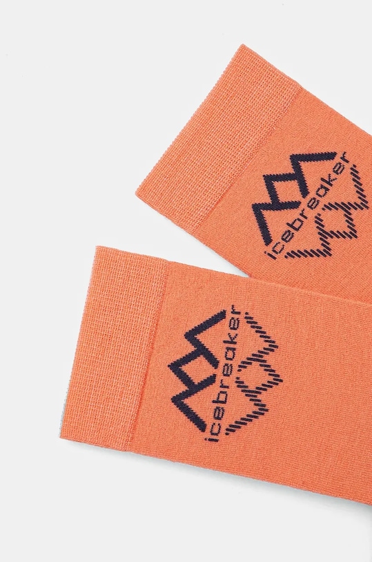 Шкарпетки Icebreaker Lifestyle Fine Gauge IB0A56YY07B1 помаранчевий AW24