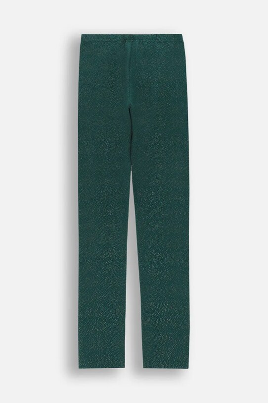 Coccodrillo leggins copii ZC4122102MER verde AW24