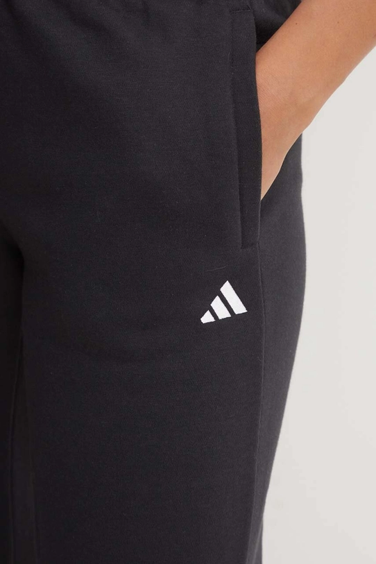 Спортивні штани adidas Essentials чорний IW0221