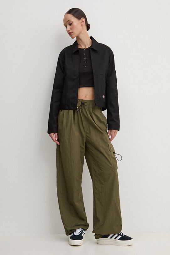 Donji dio trenirke Dickies JACKSON DK0A4YJC zelena AW24