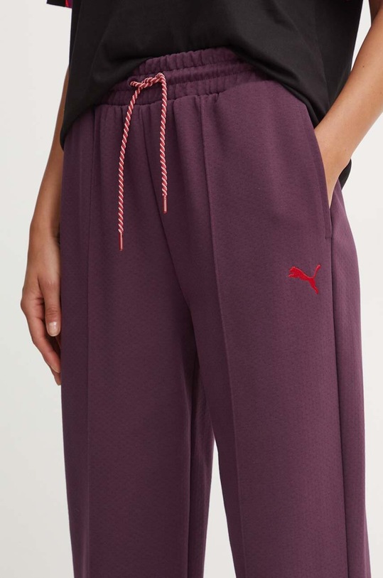Спортивные штаны Puma бордо 626638