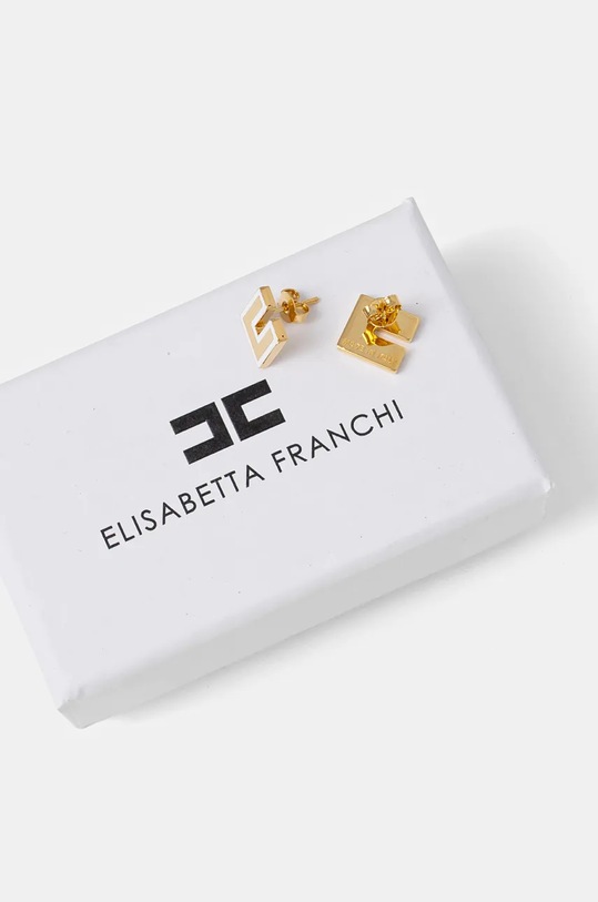 Accesorii Elisabetta Franchi cercei OR30B56E2 aur