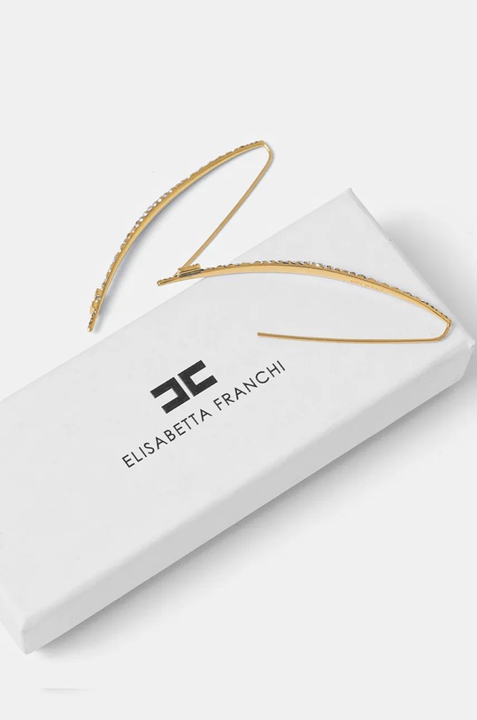 Accesorii Elisabetta Franchi cercei OR31A56E2 aur