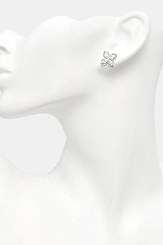 Akcesoria Aldo kolczyki SIVAN.973 srebrny