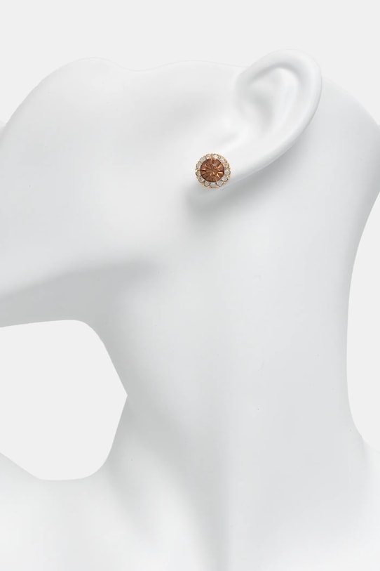 Αξεσουάρ Σκουλαρίκια Aldo GWOSA.650 χρυσαφί