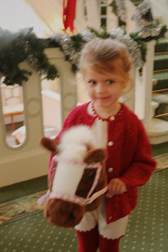 Koník na palici Konges Sløjd STORMY HORSE KS104439.9BYA hnedá