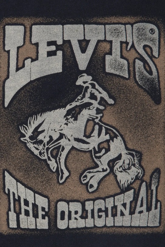 Αγορίστικα Παιδική μπλούζα Levi's RODEO READY HOODIE 8EN965 μαύρο