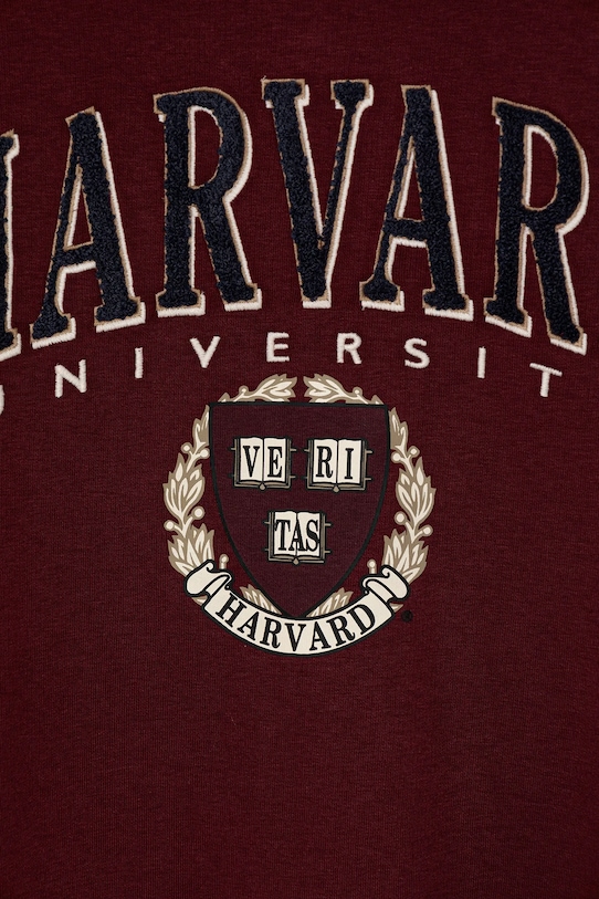 Хлопчик Дитяча кофта United Colors of Benetton 32N4C204U.G.seasonal бордо