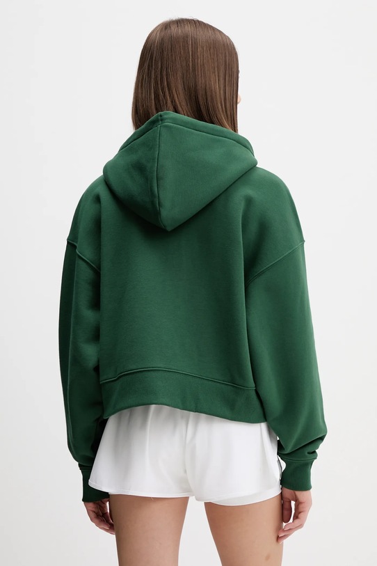 Oblečenie Mikina Dickies DK0A4Y1Z zelená