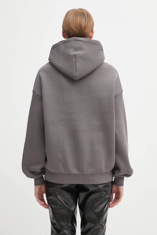 Odzież WRSTBHVR bluza Diago U2225TT.3070 szary