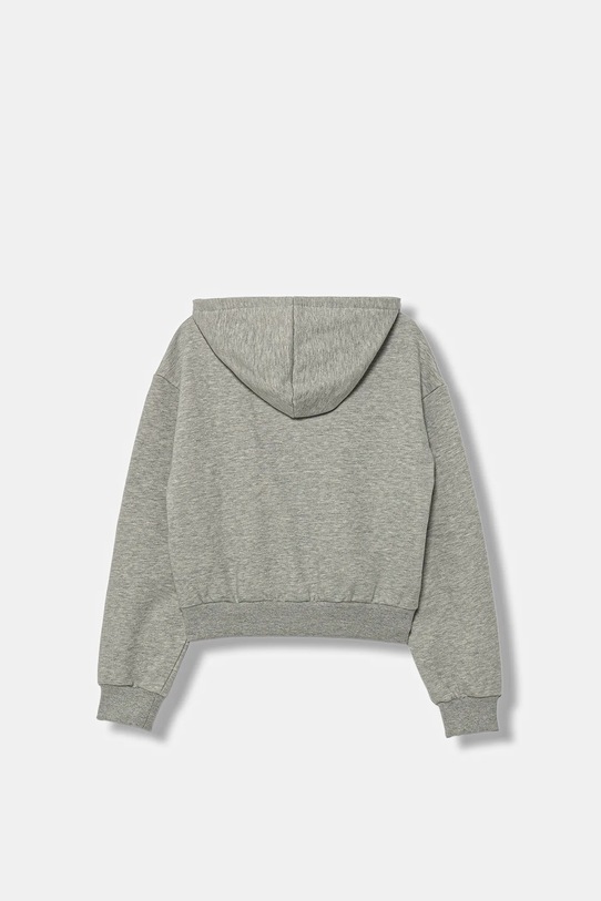 Vans bluza dziecięca Van-Archy Label Zip VN000PPJ02F1 szary AW25