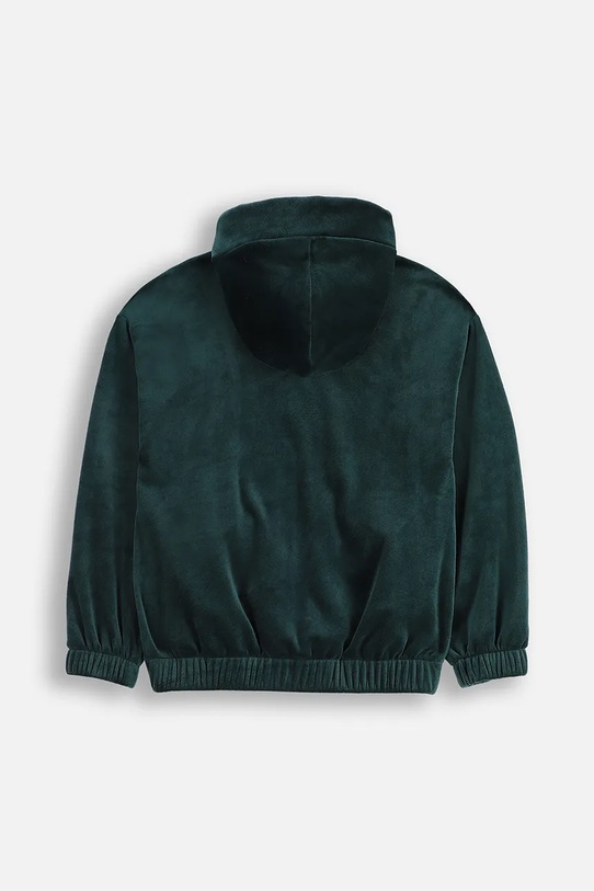 Pulover Coccodrillo ZC5132401FGJ zelena AW25