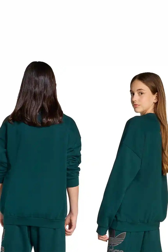 Кофта adidas Originals JV8574 зелёный