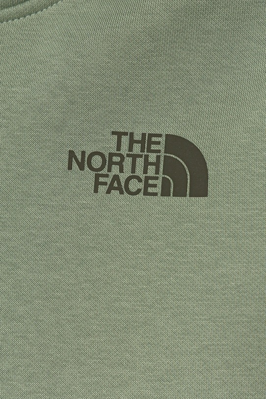 Κοριτσίστικα Παιδική μπλούζα The North Face TEEN BOX NSE REGULAR HOODIE NF0A89H9DI21 πράσινο