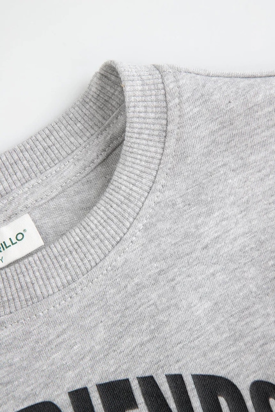 Chłopiec Coccodrillo bluza ZC5143107LBD szary