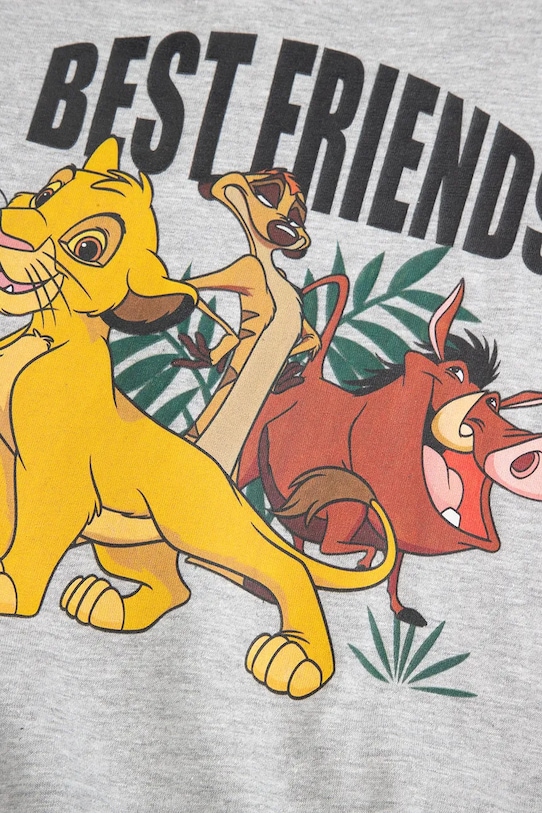 Coccodrillo bluza szary ZC5143107LBD